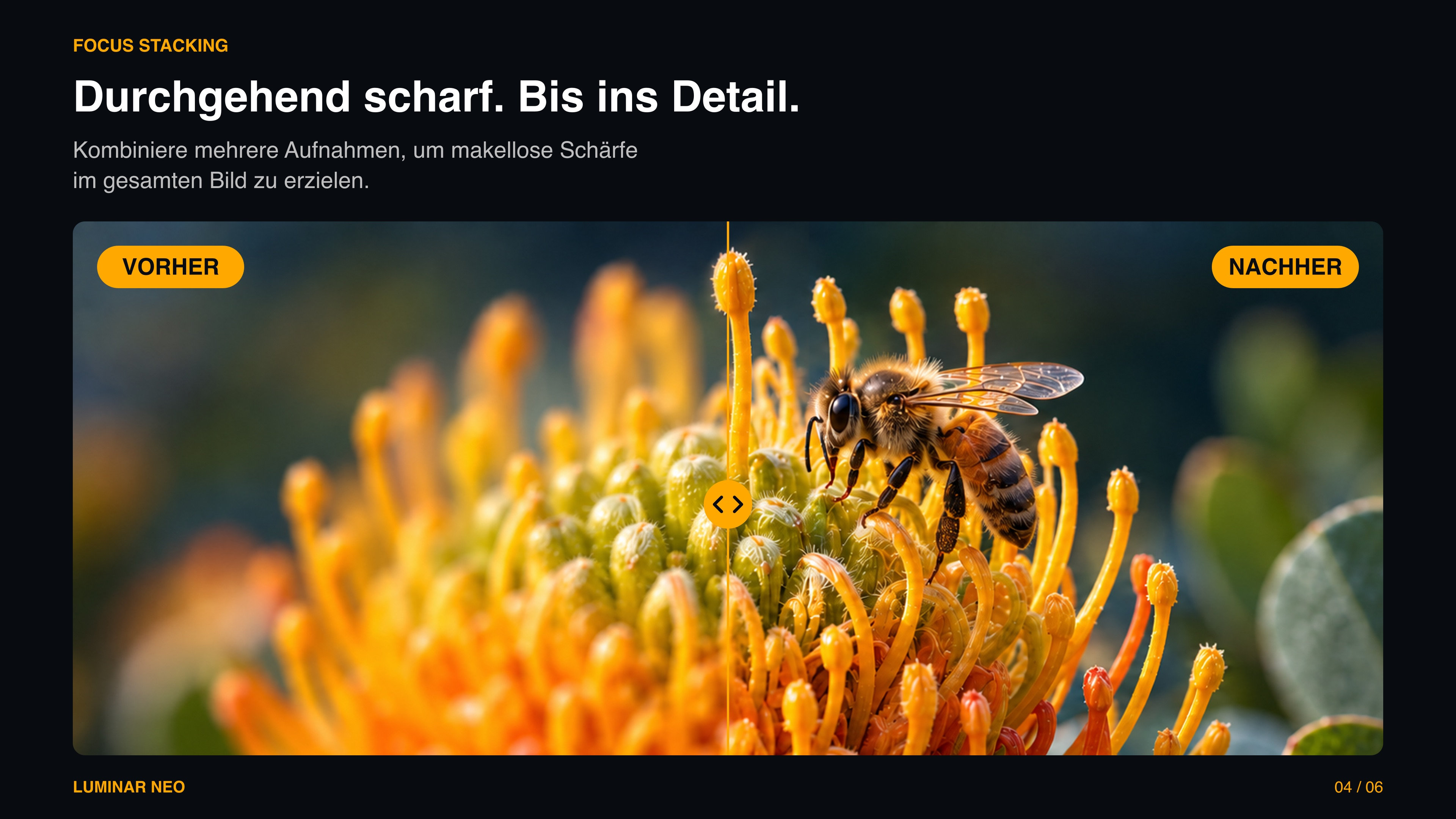 Skylum Luminar Desktop *2-Geräte / Dauerlizenz* Win/Mac #KEY (ESD)